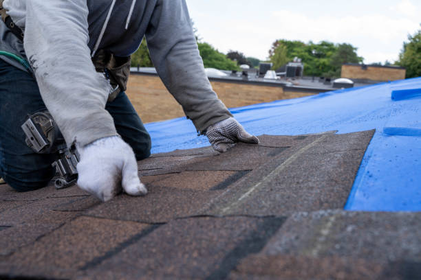 Best Metal Roofing Contractor  in Minersville, PA