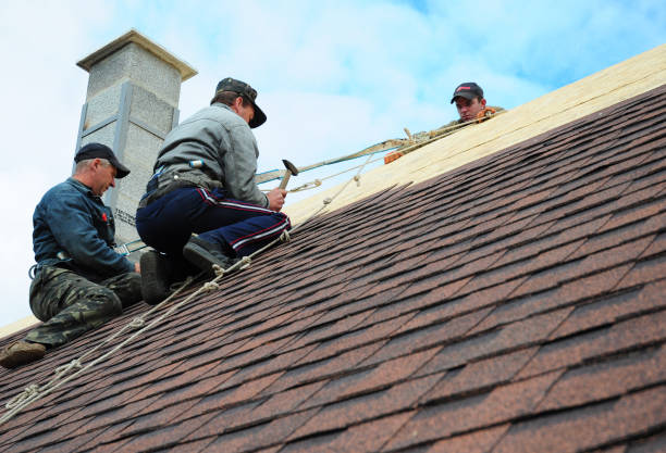Best Local Roofing Companies  in Minersville, PA