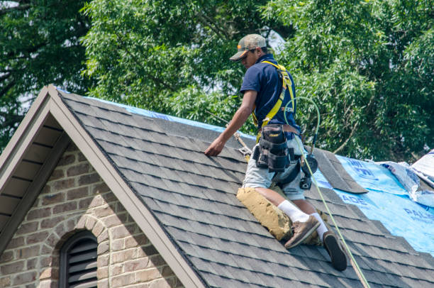 Best Roof Maintenance Services  in Minersville, PA
